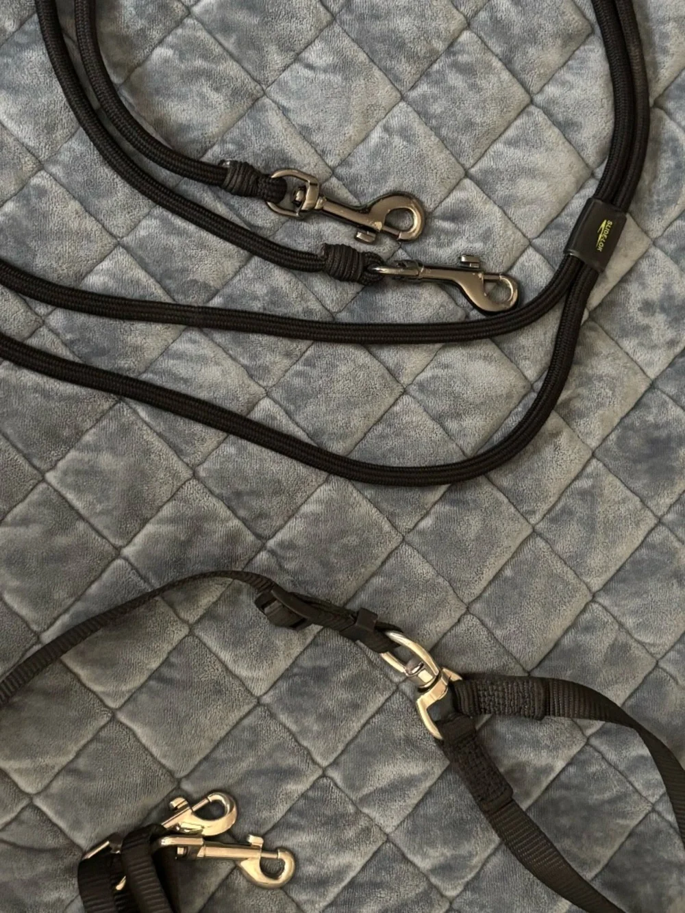 Two 2 in 1 dog leashes Black